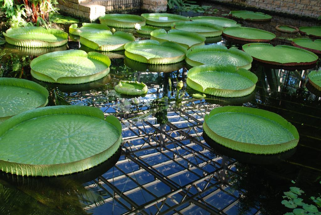 Yukurinaresort Okinawa Garden House Motobu Zewnętrze zdjęcie